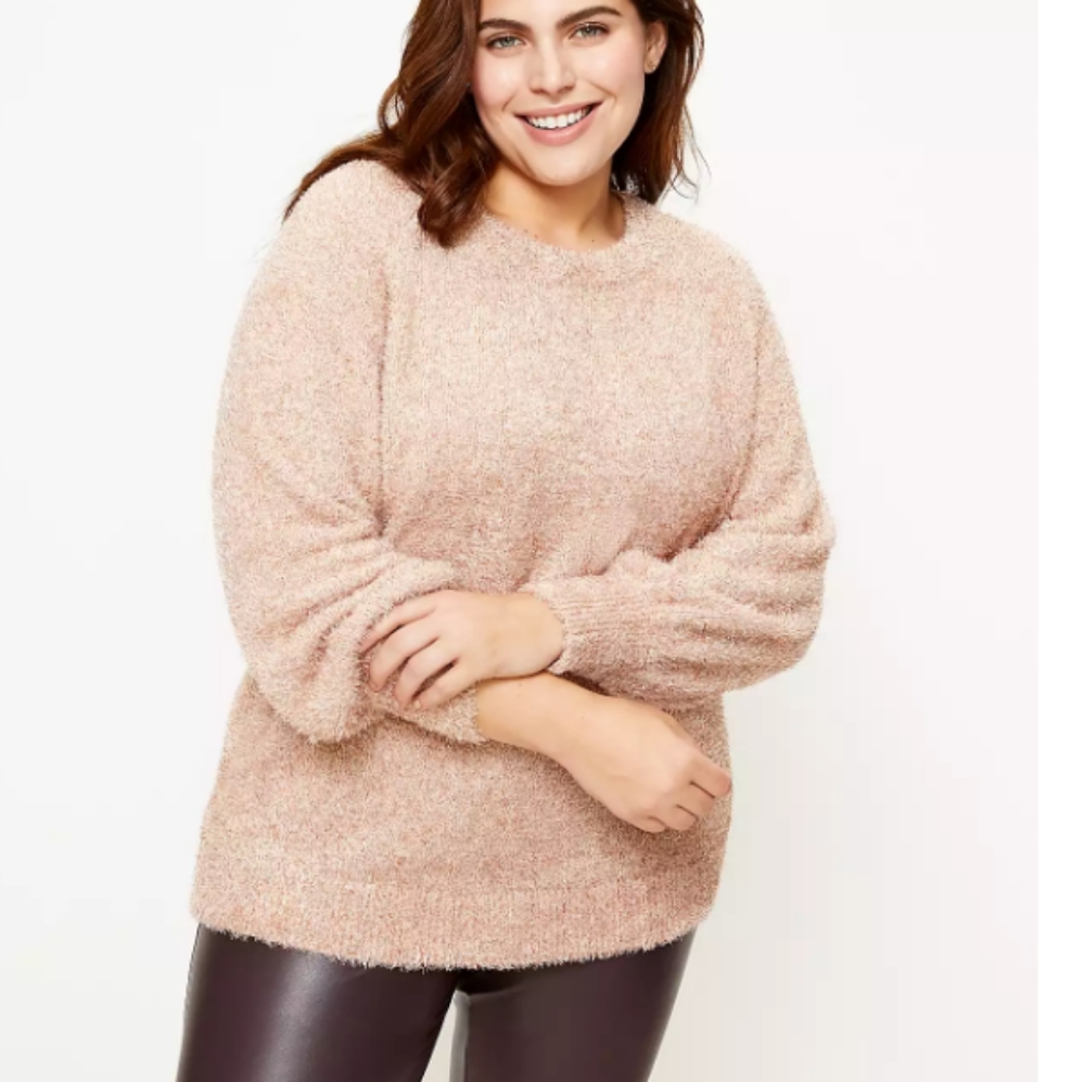 NWT Loft Sweater